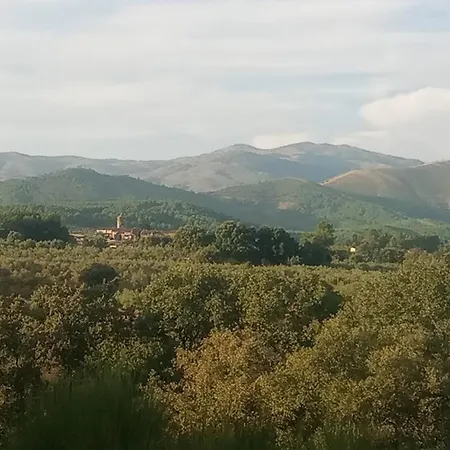 Daire Rural La Frondosa *